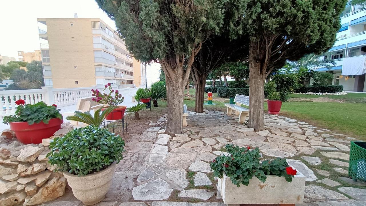 Holidays At My Spanish Grandma Alicante Eksteriør bilde